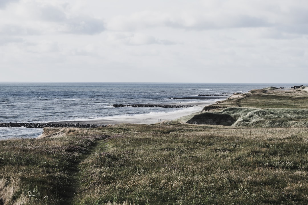 Photo designklassikere Denmark